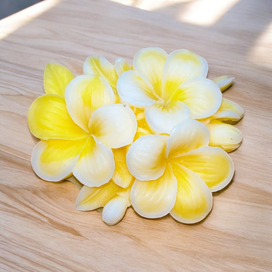 Summer flower